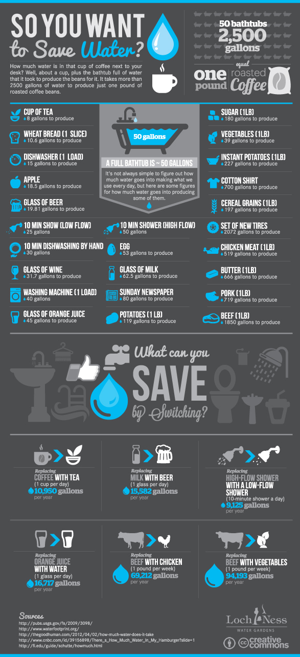savewater infograph